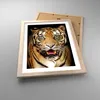 Gerahmtes Poster - Rahmen in heller Eiche - tiger tier - Produktbild-Vorschau 3