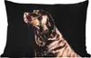 MuchoWow® Outdoor Kissen - Hund - Braun - Porträt - 60x40 Produktbild-Vorschau 1