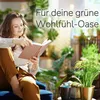 Substral Pflanzen Nahrung, Flüssiger Universaldünger 1 L Produktbild-Vorschau 8