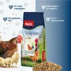 PANTO Legefreude 25kg - Körnermischung für Legehennen Produktbild-Vorschau 2
