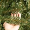 A hand is shown holding a branch of a Christmas tree, with many other branches in the background. Voir les images du produit
