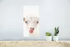 MuchoWow® Poster Ziege - Porträt - Junge - Mädchen - Kinder Produktbild-Vorschau 5
