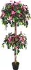Drillingsblume Bougainvillea Wunderblumengewächs Produktbild-Vorschau 1