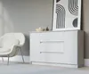 Cassettiera, bianco opaco, 120 x 39 x 78 cm, 2 ante, 3 Anteprima dell’immagine prodotto 2