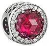 Pandora -Bead Charms 925_Sterling_Silber 791725NCC Produktbild-Vorschau 2