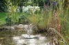 Pontec PondoStar Lily Island 150 l/h, Solarwasserspiel Produktbild-Vorschau 6