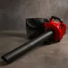 Aspiratore foglie, soffiatore a benzina 1,1 CV, 0,75 kW, Anteprima dell’immagine prodotto 11
