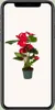 Anthurium Red - Ø17cm - ↕55cm - Ø12cm - ↕40cm Produktbild-Vorschau 15