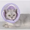 INF Halsband für Hunde und Katzen – verstellbare Passform S Produktbild-Vorschau 4