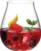 Riedel GIN SET CONTEMPORARY 5414/76 Voir les images du produit 7