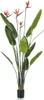 Emerald Künstliche Strelitzie mit 4 Blüten im Topf 150 cm Produktbild-Vorschau 1
