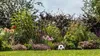 Akku-Regenwasserpumpen GardenPump 18V-2000 Produktbild-Vorschau 3