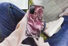 MuchoWow® Handyhülle Schutzhülle Hülle für Samsung Galaxy Produktbild-Vorschau 3