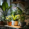Kruger Meier Velluto S-Line - lampa LED do akwarium 10l - Podgląd zdjęcia produktu 4