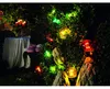Konstsmide - Catena LED per birreria, colorata, 20 Anteprima dell’immagine prodotto 23