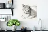 MuchoWow® Poster Liegende Katze, schräg nach vorne geneigt Produktbild-Vorschau 3