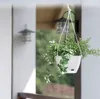 A hanging planter with green plants on a porch. Náhled obrázku produktu