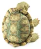 Folkmanis 3156, Handpuppe, Tier, 1 Stück(e) Produktbild-Vorschau 3