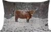 MuchoWow® Outdoor Kissen - Schottisches Hochlandrind - Baum Produktbild-Vorschau 1