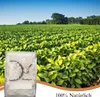 100% natürliches Sojawachs für Kerzen 1kg ,Premium Produktbild-Vorschau 5