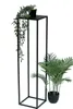 A black metal plant stand with a trailing plant on top and a potted palm plant next to it, against a white background. Náhled obrázku produktu