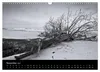 Strandspaziergang an der Ostsee (Wandkalender 2027 DIN A3 Produktbild-Vorschau 9