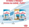 Royal Canin Mini Starter Mother & Babydog 8kg Karma Sucha Podgląd zdjęcia produktu 20