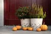 Clayre & Eef bloempot, diameter 21 cm, hoogte 20 cm, beige Productafbeelding-voorbeeld 4