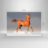Bilder auf glas - Tiere Pferd Galopp Geschwindigkeit - Produktbild-Vorschau 3