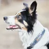 Non-stop dogwear Hundehalsband Cruise Collar schwarz, Produktbild-Vorschau 9
