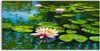 Coloray Canvas 100x50  Wandbild Leinwand Bilder Foto Produktbild-Vorschau 1