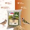 PANTO Erdnusskerne blanchiert 1 kg - für Wildvögel Produktbild-Vorschau 2