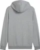 Sweats Puma 68257003 Voir les images du produit 2