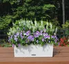 Lechuza Samozavlažovací truhlík Balconera Cottage 50 cm, Náhled obrázku produktu 17