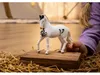 schleich HORSE CLUB Marwari Hengst, 5 Jahr(e), Horses, Produktbild-Vorschau 4