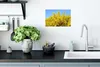 MuchoWow® Poster Blühender Ginster mit blauem Himmel 30x20 Produktbild-Vorschau 3