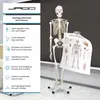 Jago® Menschliches Anatomie Skelett 181.5 cm - inkl. Produktbild-Vorschau 13