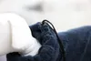 Kerbl Hunde Bademantel navy, Größe:M Produktbild-Vorschau 2
