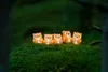 Konstsmide 6135-103 LED Acryl Eulen 5-er Set,  warmweiße Produktbild-Vorschau 7