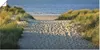 ARTland Poster Strandaufgang Größe: 40x20 cm Produktbild-Vorschau 1