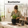Mica Decorations Peta Supports pour plantes – Lot de 3 – Voir les images du produit 7