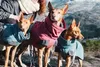 Hurtta Expedition Wintermantel Parka, Farbe:rot, Größe:80 Produktbild-Vorschau 7