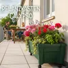 KHW Pflanzkasten "Calypso" aus Kunststoff auf Rollen mit Produktbild-Vorschau 2