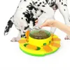 Giocattolo interattivo per cani e gatti, allenamento Anteprima dell’immagine prodotto 6