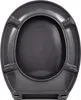 aquaSu® Basic, WC-Sitz in Grau, Duroplast Toilettendeckel Produktbild-Vorschau 12