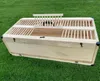 Transportkorb Transportkiste für Tauben 80 x 40cm Produktbild-Vorschau 2