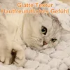 Haustierdecke, faltbare Haustierdecke, wasserdichte Produktbild-Vorschau 2