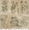 Scrapbooking-Papier Set 30×30 cm – SLS-049 Herbarium 2 – Produktbild-Vorschau 19