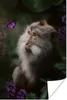 MuchoWow® Poster Affe - Dschungel - Schmetterling - Produktbild-Vorschau 1