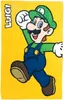 Nintendo Super Mario Sporttowel/Handtuch Luigi Produktbild-Vorschau 3